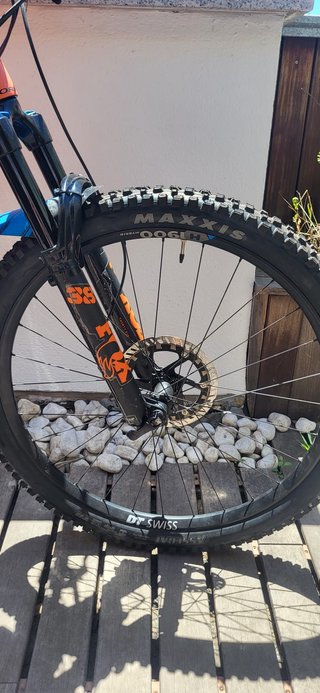 Orbea Wild M20 Talla XL 2022