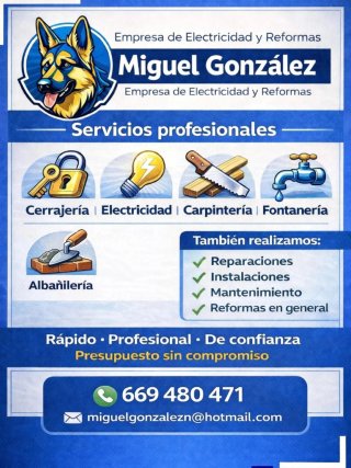 Servicios de Electricidad y Reformas