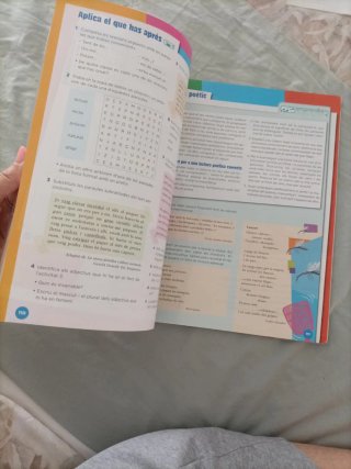 Valencià, llengua i literatura, ESO 1