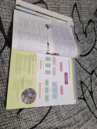 Historia del Mundo Contemporáneo Bachillerato [...