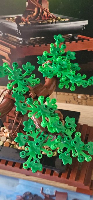 Lego 10281 Albero Bonsai