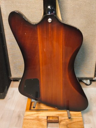 Gibson Firebird 2018 USA