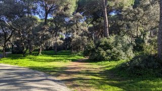 Parcela en Urbanización la Juliana