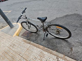 Bicicleta de montaña plateada