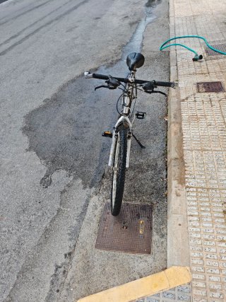 Bicicleta de montaña plateada