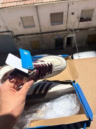 Adidas Samba OG granate/beige