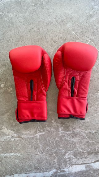 Guantes de Boxeo Tagoya Rojos