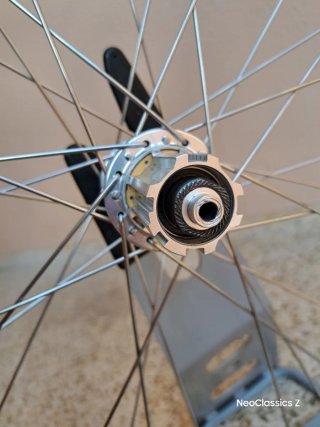Campagnolo Daytona Rigida Ultimate Power -Rueda-
