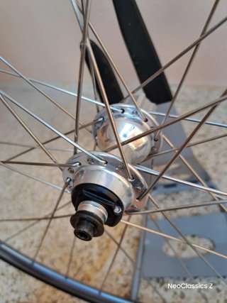 Campagnolo Daytona Rigida Ultimate Power -Rueda-