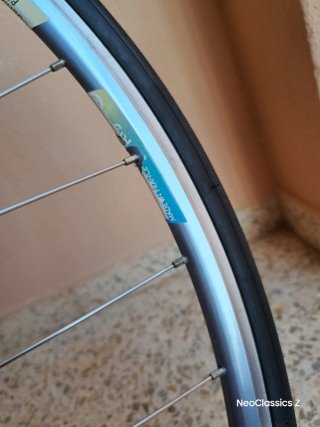 Campagnolo Daytona Rigida Ultimate Power -Rueda-