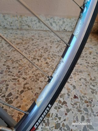 Campagnolo Daytona Rigida Ultimate Power -Rueda-