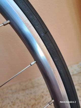 Campagnolo Daytona Rigida Ultimate Power -Rueda-