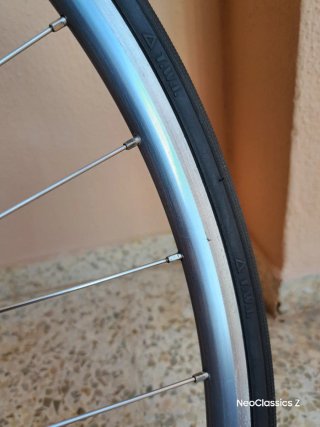 Campagnolo Daytona Rigida Ultimate Power -Rueda-