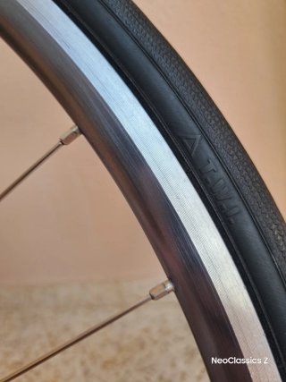 Campagnolo Daytona Rigida Ultimate Power -Rueda-
