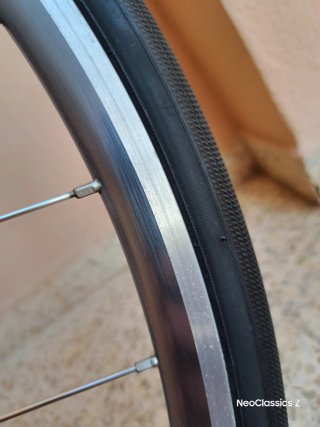 Campagnolo Daytona Rigida Ultimate Power -Rueda-