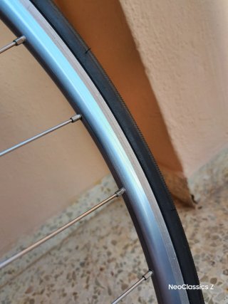 Campagnolo Daytona Rigida Ultimate Power -Rueda-