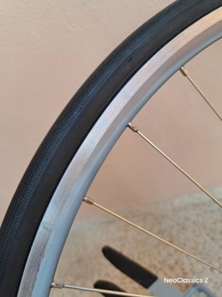 Campagnolo Daytona Rigida Ultimate Power -Rueda-