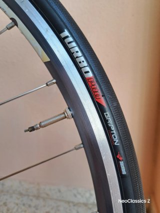 Campagnolo Daytona Rigida Ultimate Power -Rueda-