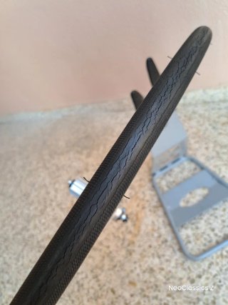 Campagnolo Daytona Rigida Ultimate Power -Rueda-