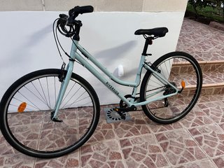 Bicicleta Paseo Riverside Verde