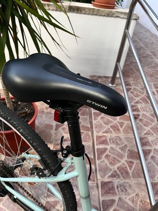 Bicicleta Paseo Riverside Verde