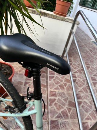 Bicicleta Paseo Riverside Verde