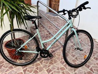 Bicicleta Paseo Riverside Verde