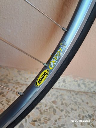 Campagnolo Daytona Mavic CXP21