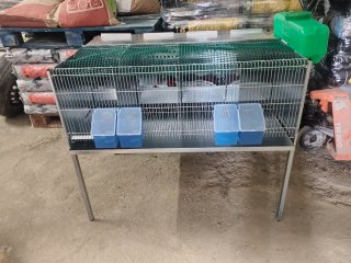 Jaula pelechero para perdices