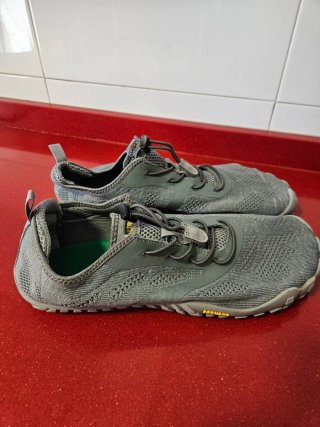 Zapatillas Saguaro Talla 45 Grises