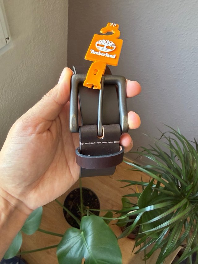 Lote 5 Cinturones Guess, Columbia, Timberland