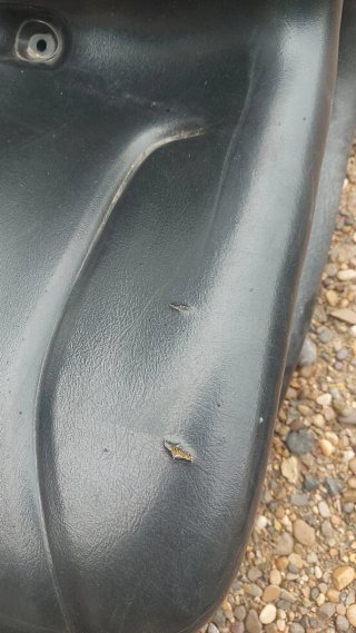 Sillas de Plástico Negras