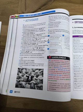 Lengua Castellana, 2 ESO, Programa Carmen de Bu...