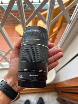 Canon EF 75-300mm f/4-5.6 USM Lente