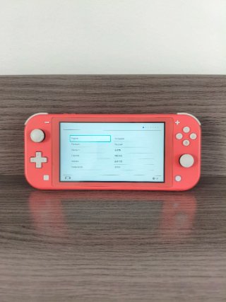 Nintendo Switch Lite Rosa + Caricabatterie e scatola