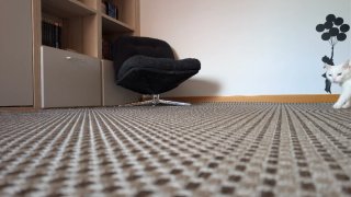 Alfombra gris oscuro estilo tatami 200x290