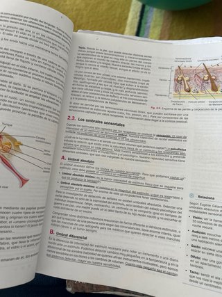Psicología