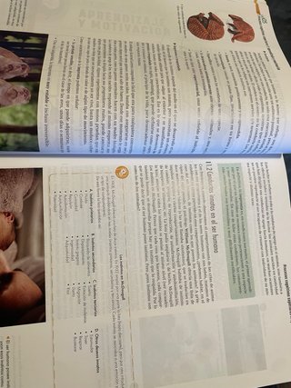 Psicología, Bachillerato