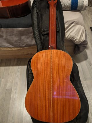 Guitarra Clásica con Pastilla Fishman.