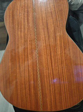 Guitarra Clásica con Pastilla Fishman.