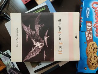Hiru gutun Iruñetik