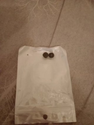 Auriculares Inalámbricos Negros + Repuesto
