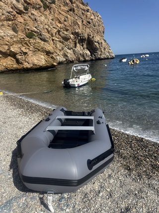 Zodiac 330 Neumática