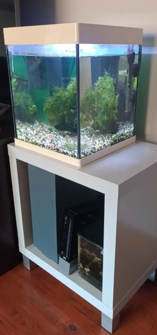 Kit Nano Acuario 20L Completo + muchos accesorios