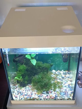 Kit Nano Acuario 20L Completo + muchos accesorios