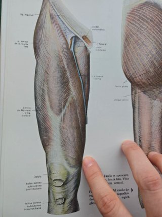 Atlas de anatomia Sobotta