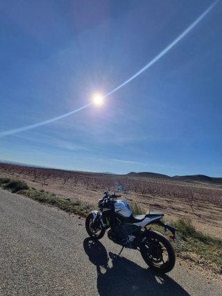 Kawasaki Z650 Blanca y Verde