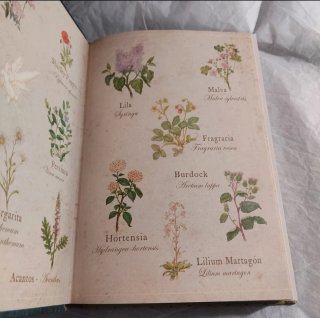 Pack dos libros: Secreto de las gemelas y Princesa