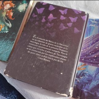 Pack dos libros: Secreto de las gemelas y Princesa