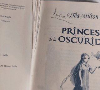 Pack dos libros: Secreto de las gemelas y Princesa